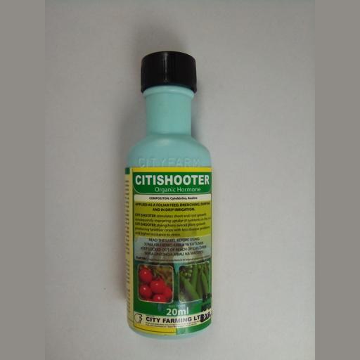 CITISHOOTER   20MLS