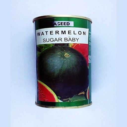 W MELON SUGARBABY  250GMS EA