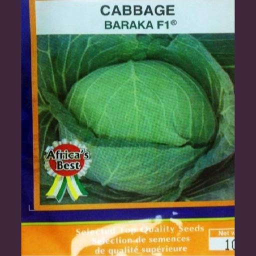 CABBAGE BARAKA F1   10GM