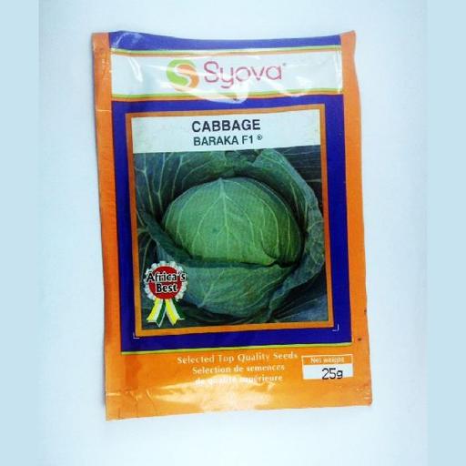 CABBAGE BARAKA F1   25GM