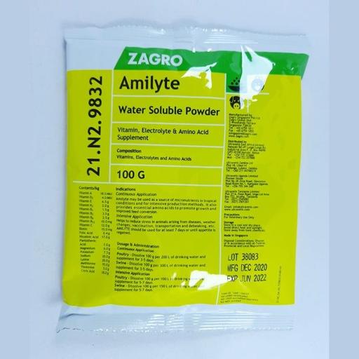 AMILYTE 100GMS