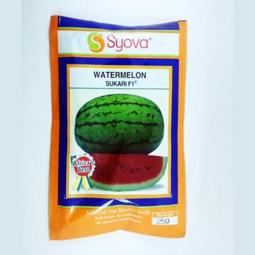 W MELON SUKARI F1   25GM