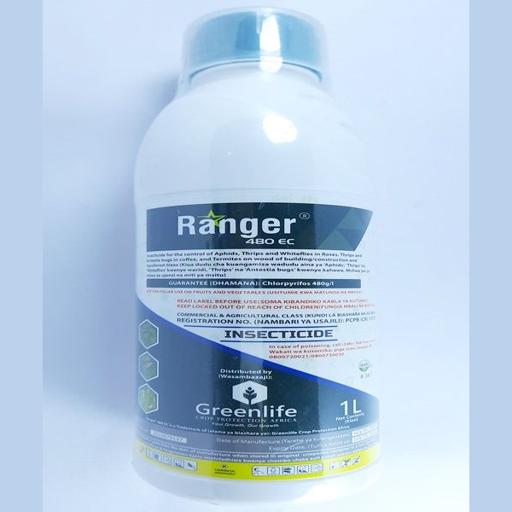 CHLORPYRIFOS RANGER 1LTR