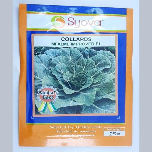 COLLARDS MFALME F1 IMPROVED  25GM EA