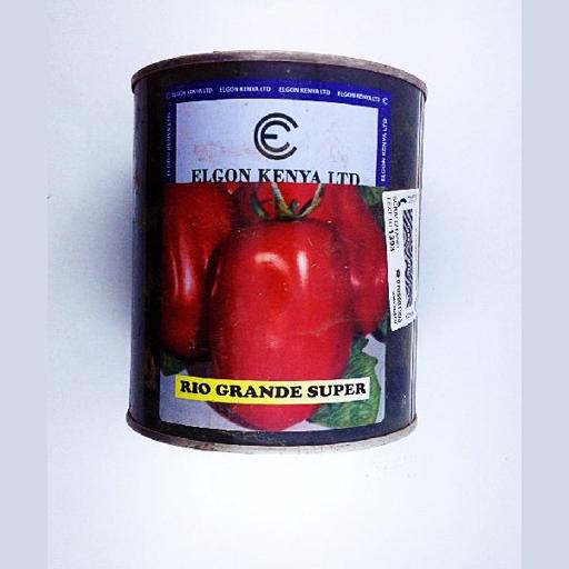 TOMATO RIO  50GMS ELGON