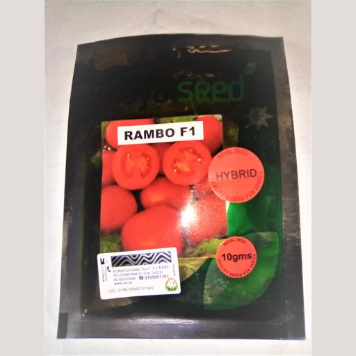 TOMATO RAMBO 10GM