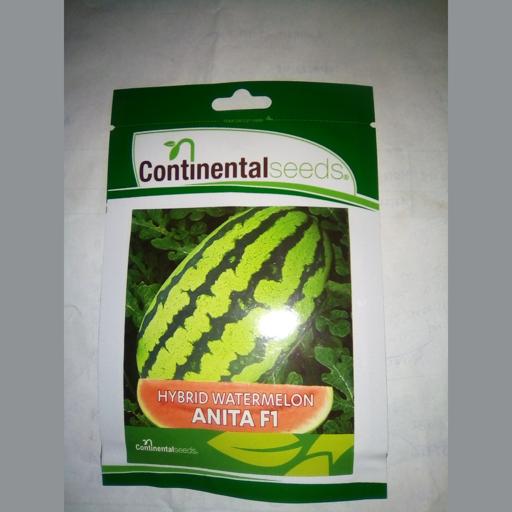 W MELON ANITA F1  50GMS