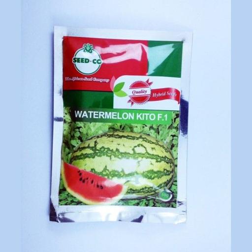 W MELON KITO F1  50GMS SDCO