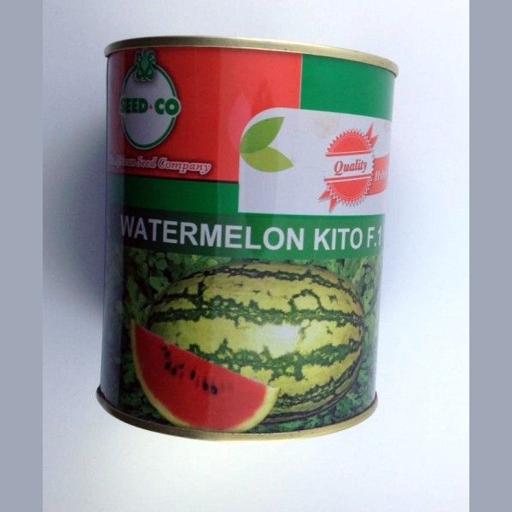 W MELON KITO F1 250GMS SDCO