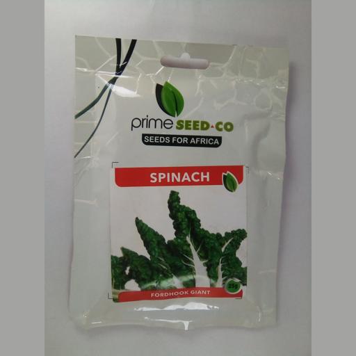 S/C FORDH GIANT  25GM SEEDCO