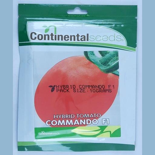 TOMATO COMMANDO F1 10GM CONTI