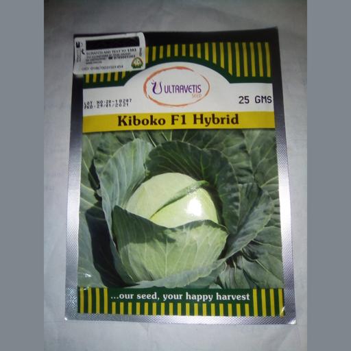 CABBAGE KIBOKO  25GM