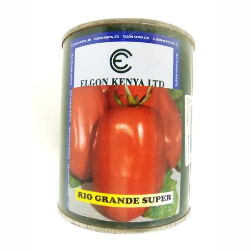 TOMATO RIO 100GM ELGON