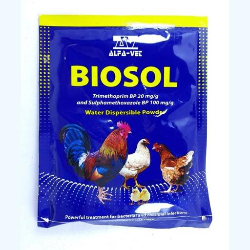 BIOSAL 100GMS