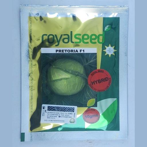 CABBAGE PRETORIA F1 10GMS