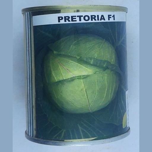 CABBAGE PRETORIA F1 50GMS