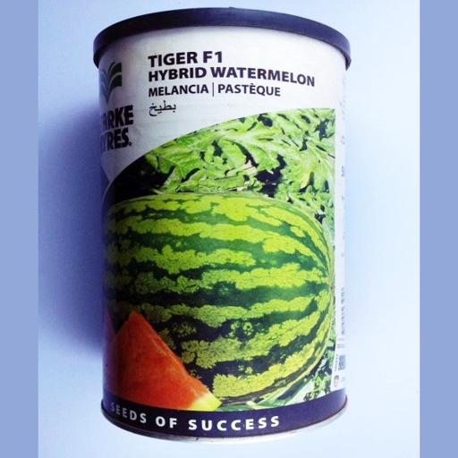 W MELON TIGER F1  250GMS