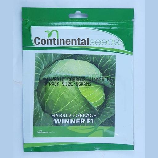 CABBAGE WINNER F1   5GMS CONTI