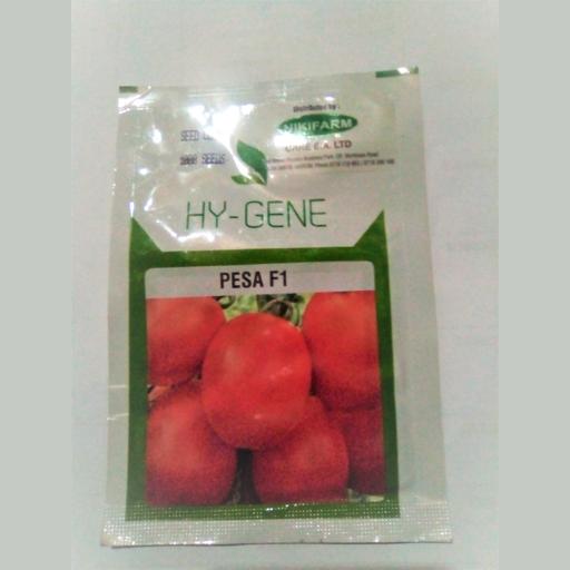 TOMATO PESA F1 1,000 SEEDS