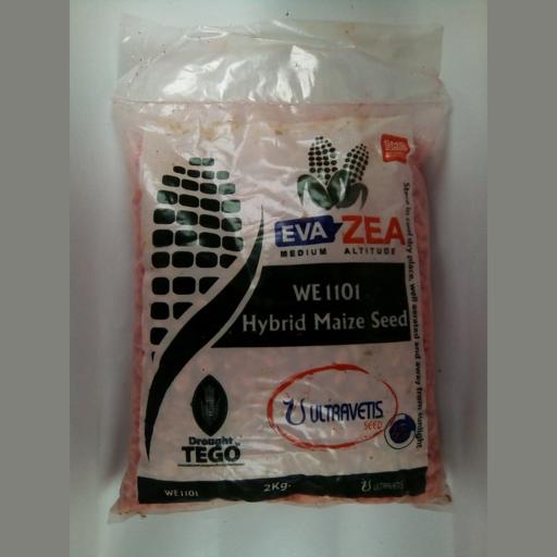 maize(mbembe) EVA ZEA 1101 2KG UTRAVETIS