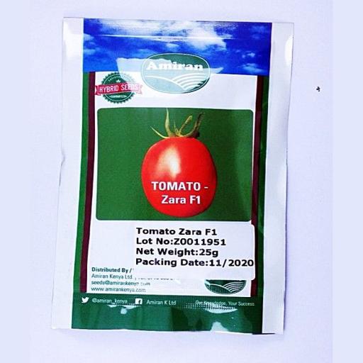 TOMATO ZARA F1 25 GMS AMIR