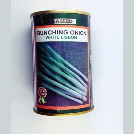 ONION BUNCHIN WHITE LISBON 50GMS EA