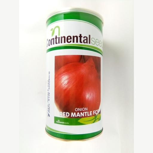 ONION RED MANTLE 500GMS CONTI