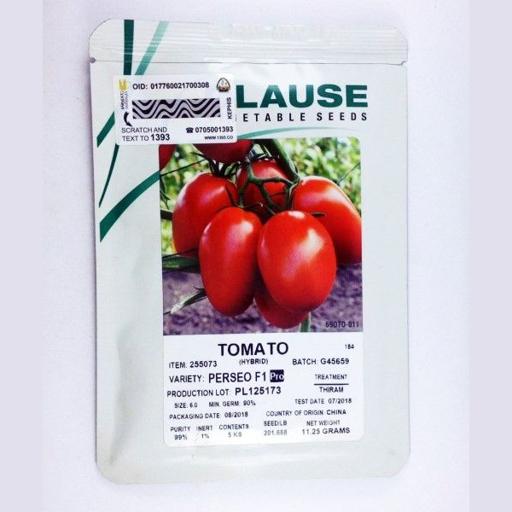 TOMATO PERSEO F1 500 SEEDS SEEDCO