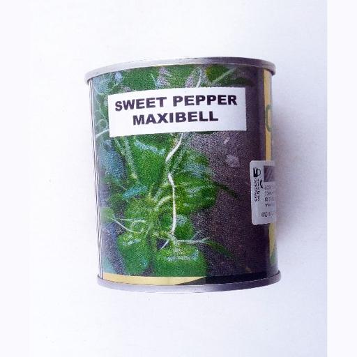 PEPPER MAXI BELL 25GM ROYAL SEED