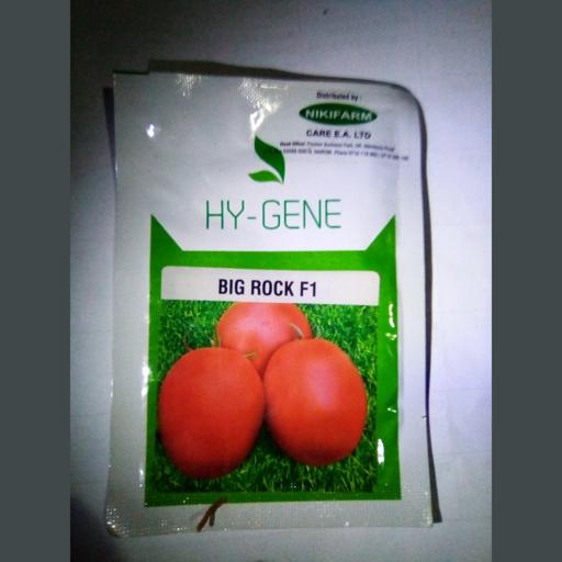 TOMATO BIG ROCK 500 SEEDS