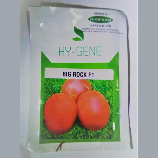 TOMATO BIG ROCK 2500SEEDS