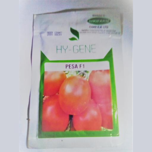 TOMATO BIG ROCK 5000SEEDS