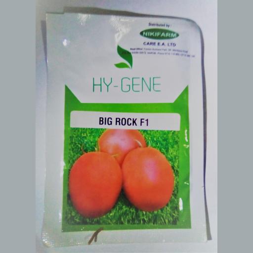 TOMATO BIG ROCK 10000SEEDS