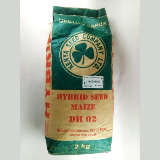 maize(mbembe) DH02 HYBRID 1KG SIM SEEDS