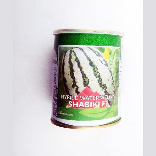 W MELON SHABIKI F1 100GMS CONTI