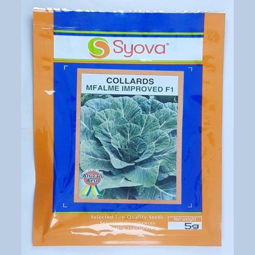 COLLARDS MFALME F1 IMPROVED 5GMS  EA