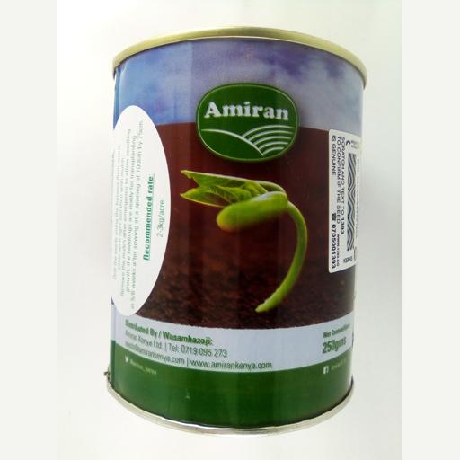 GRASS BRACHLARIA CAYMAN F1 250 GMS AMIRAN