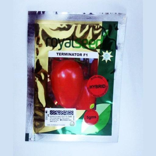 TOMATO TERMINATOR 5GMS K. HIGHLAND