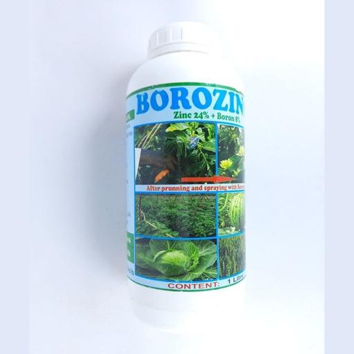 BOROZINC 1LTR