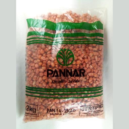 maize(mbembe) PANNAR 14(BABYCORN) 2KG