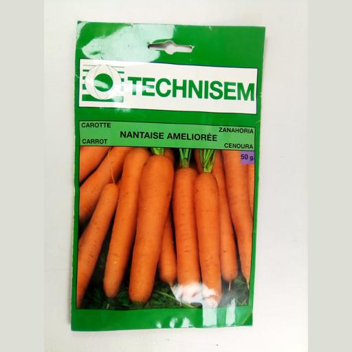 CARROT NANTES 50GMS TECHNISM