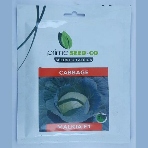 CABBAGE MALKIA F1 25GMS