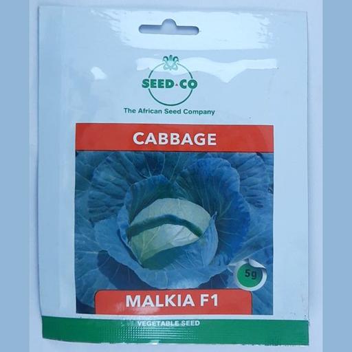 CABBAGE MALKIA F1 5GMS