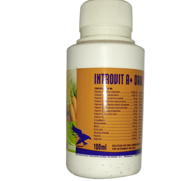 INTROVIT A+ORAL 100MLS
