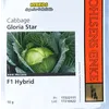 CABBAGE GLORIA STAR F1 50GM