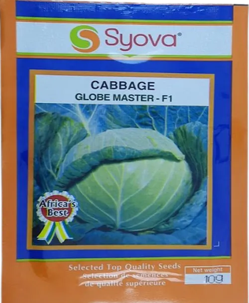 CABBAGE GLOBE MASTER F1 25GMS