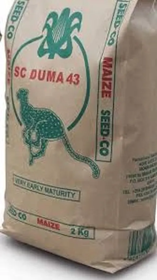 MAIZE DUMA 43 1KG