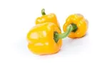 CAPSICUM ILLANGA
