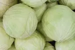 WHITE\GREEN CABBAGES