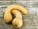 BUTTERNUT